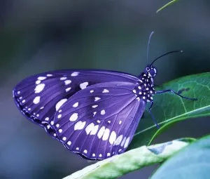 Hãy cho tôi biết người bạn yêu là ai, tôi sẽ nói cho bạn biết bạn là ai