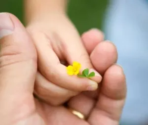 Hãy cho trước khi nhận