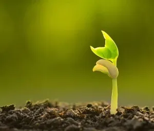 Hãy cố gắng khi còn có thể