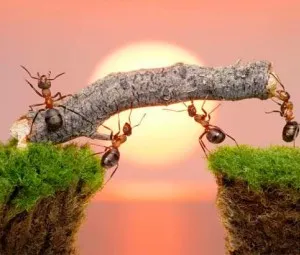 Khi bạn bị ném đi