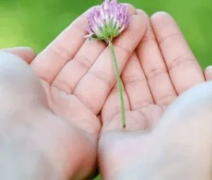 Mỗi ngày là một món quà