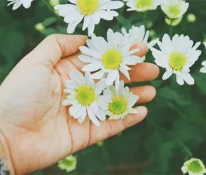 Mọi thứ rồi cũng sẽ qua