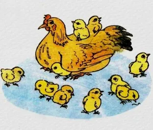 Một câu trả lời