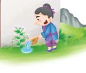 Nàng tiên hoa cúc