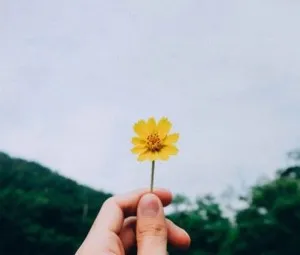 Nét đẹp thật sự