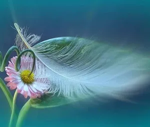 Nếu em là anh