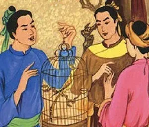 Nghe kể chuyện cổ tích - Con chim khách màu nhiệm