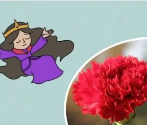 Nghe kể chuyện cổ tích - Sự tích hoa cẩm chướng