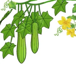 Nghe kể chuyện thiếu nhi - Mùa hè bình yên