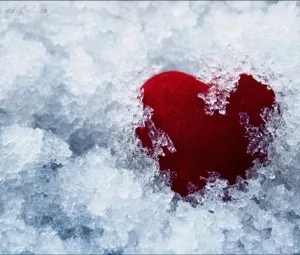 Người sẵn sàng sưởi ấm trái tim ta
