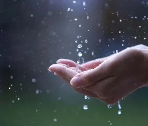 Những giọt nước mắt từ trên trời