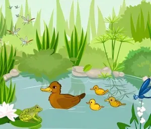 Nòng nọc tìm mẹ