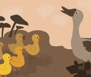 O tròn như... trứng vịt