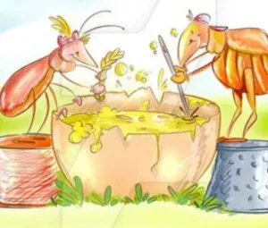 Rận và bọ chó