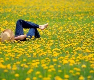 Sẽ luôn tìm được cách