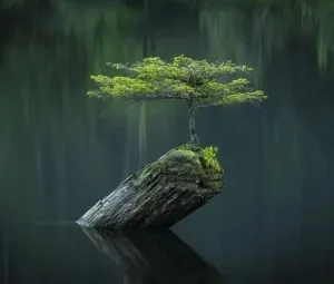 Sự bình yên
