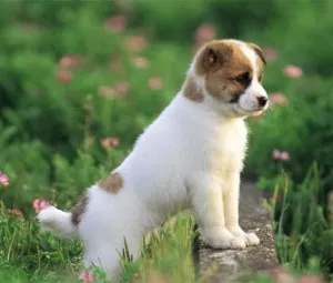 Sự nhầm lẫn ý nghĩa