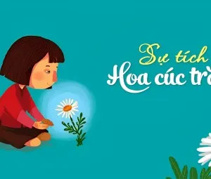 Sự tích bông hoa cúc