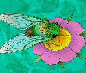 Sự tích con Ve Sầu