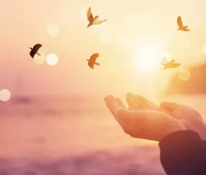 Sức mạnh và dũng khí