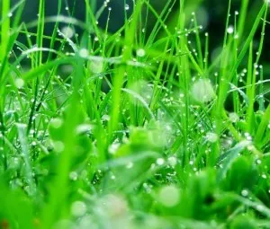 Tan vỡ hoặc tỏa sáng