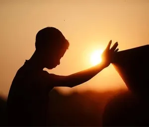 Tình yêu tạo nên lẽ sống