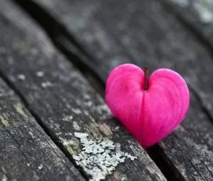 Trái tim hoàn hảo