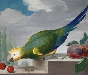 Vẹt và châu chấu