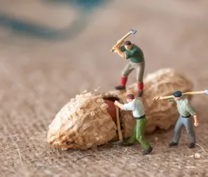 Ý nghĩa công việc