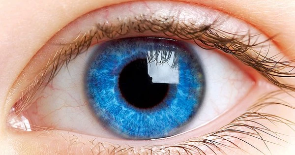 8 sự thật về cơ thể có thể bạn chưa biết