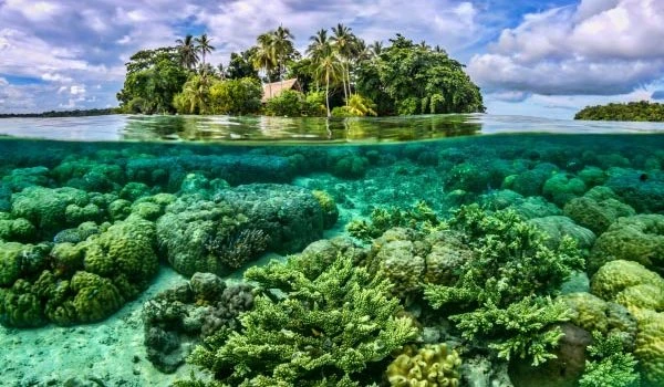 Đảo san hô – Kho truyện cổ tích | Đọc và nghe truyện cổ tích miễn phí