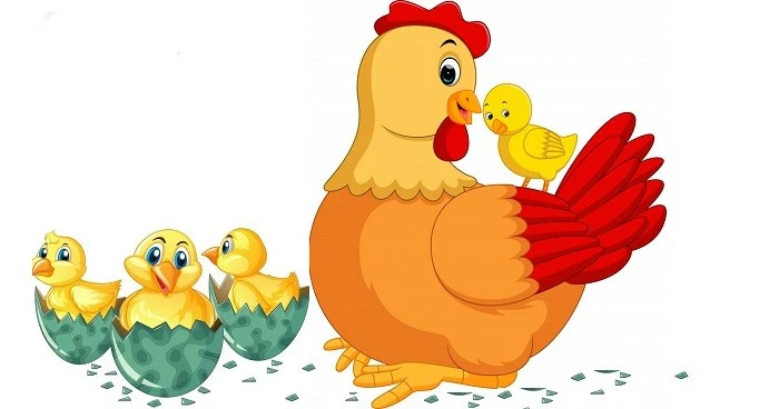 Bác mái mơ và đàn con – Kho truyện cổ tích