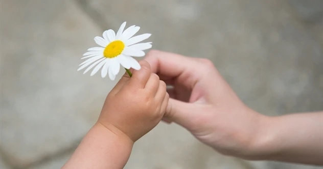Biết ơn vạn bội – Kho truyện cổ tích | Đọc và nghe truyện cổ tích miễn phí