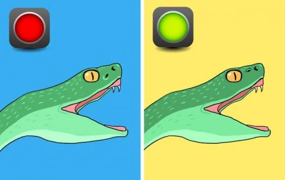 Cách nào phân biệt rắn độc? – Kho truyện cổ tích