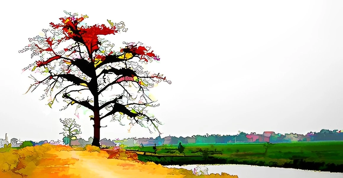 Cây gạo cõng mặt trời – Kho truyện cổ tích