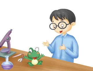 Ếch xanh tìm bác sĩ - Chuyện kể bé nghe