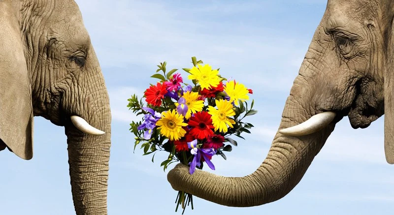 Chúng ta không cần phải hoàn hảo! – Kho truyện cổ tích