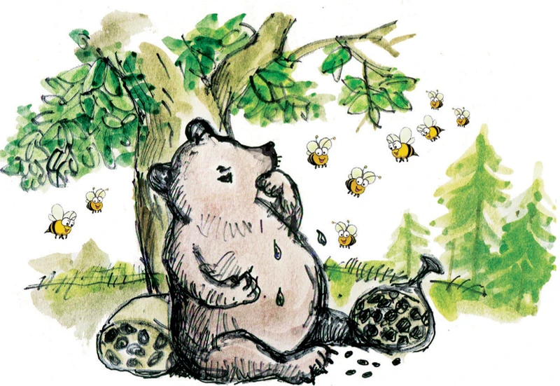 Chuyện gấu ăn trăng – Kho truyện cổ tích