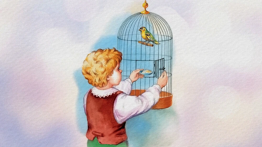 Con chim nhỏ – Kho truyện cổ tích | Đọc và nghe truyện cổ tích miễn phí