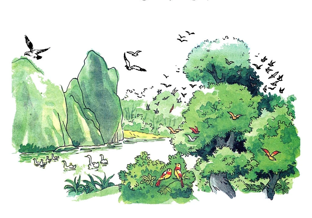 Cuộc họp của loài chim – Kho truyện cổ tích