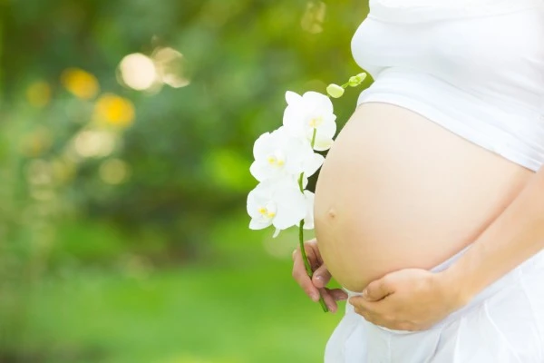 Dạy con từ trong bụng mẹ – Kho truyện cổ tích