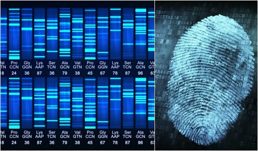 Gene di truyền vân tay là gì? – Kho truyện cổ tích