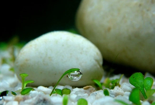 Giá trị của một hòn đá – Kho truyện cổ tích
