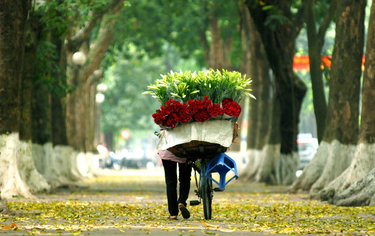 Gượng cười để bước đi – Kho truyện cổ tích
