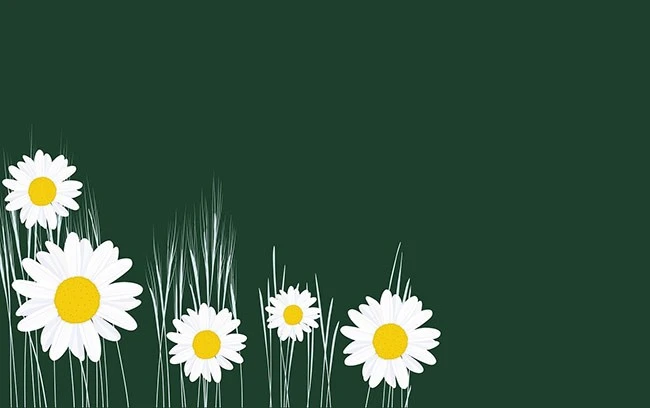 Hai người giáo viên – Kho truyện cổ tích
