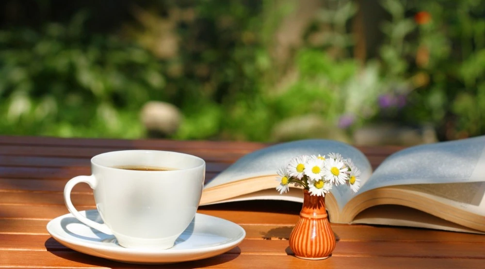 Hãy bế em ra khỏi cuộc đời anh! – Kho truyện cổ tích