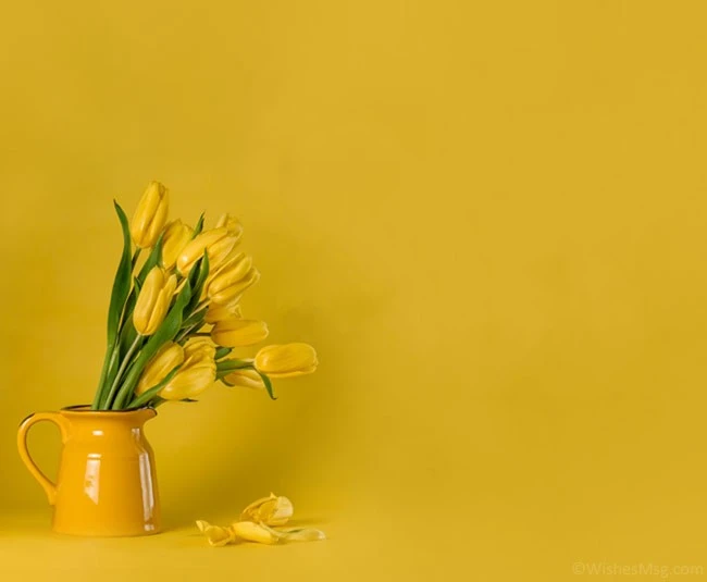 Điều nên làm – Kho truyện cổ tích | Đọc và nghe truyện cổ tích miễn phí