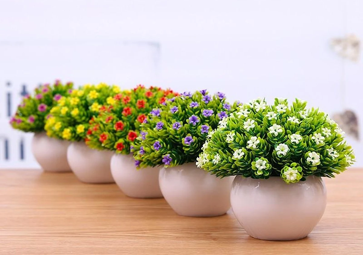 Khi bạn không có mặt ở nhà, làm thế nào để chậu hoa vẫn được tưới nước
