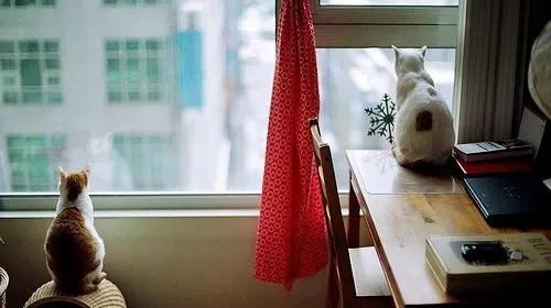 Khoảng cách – Kho truyện cổ tích | Đọc và nghe truyện cổ tích miễn phí