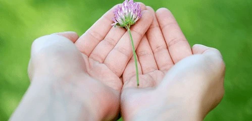 Mỗi ngày là một món quà – Kho truyện cổ tích